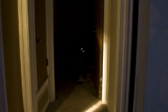 Glow 1