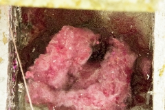 S_Pink #2_detail 2